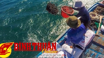 Kinh nghiệm từ mô hình đồng quản lý trong bảo vệ nguồn lợi thủy sản