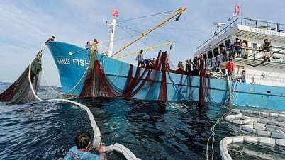 Việt - Trung đàm phán vấn đề trên biển