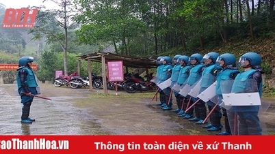 Effectiveness of the militia platoon model