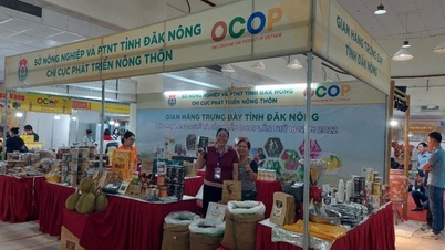 ការផ្សព្វផ្សាយពាណិជ្ជកម្មជួយរក្សាកំណើនពាណិជ្ជកម្មនៅក្នុងខេត្ត Dak Nong
