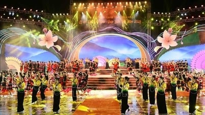 ផ្សព្វផ្សាយរូបភាពនិងប្រជាជន Dien Bien តាមរយៈពិធីបុណ្យ Cherry Blossom - Dien Bien Phu