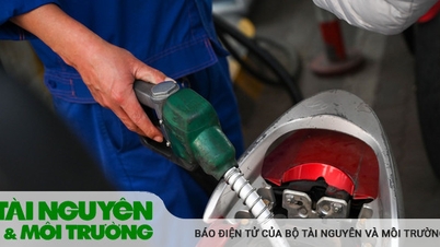 Giá xăng dầu tăng mạnh trở lại