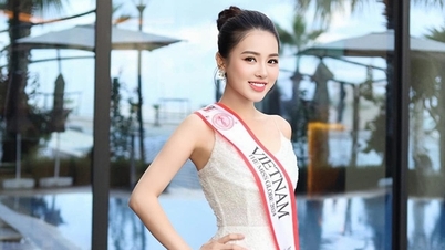 តើឱកាសអ្វីខ្លះសម្រាប់ Do Ha Trang?