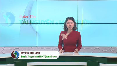 Bản tin Truyền hình TN&MT số 44/2023 (Số 326)