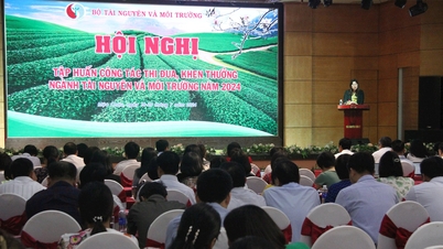 Hội nghị tập huấn công tác thi đua, khen thưởng ngành TN&MT năm 2024