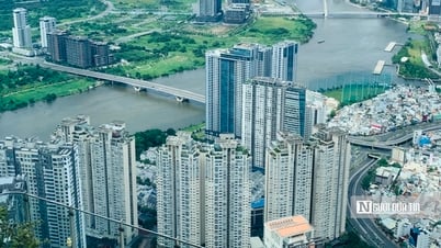 Les changements de loi, les entreprises immobilières sans capacité ont du mal à « survivre à la vague »