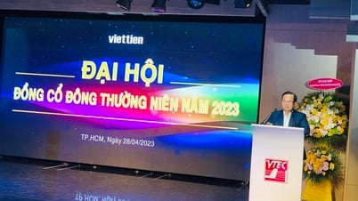 فييت تيان تحقق أرباحًا تزيد عن 200 مليار دونج في عام 2022