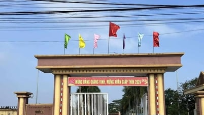 Giáo viên dạy lái xe vi phạm nồng độ cồn bị phạt 35 triệu, tước bằng 23 tháng