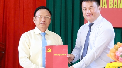 Quảng Ngãi bổ nhiệm lãnh đạo Văn phòng UBND tỉnh