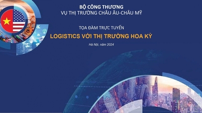 Logistics with the US market