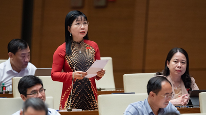 Quốc hội chất vấn: Sắp xếp trường đào tạo nghề còn khiên cưỡng, cơ học
