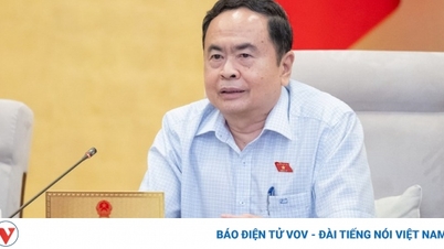 Giám sát về phát triển và sử dụng nguồn nhân lực