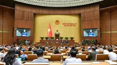 Trình Quốc hội báo cáo về công tác phòng, chống tham nhũng