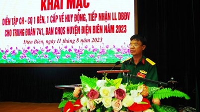 Dien Bien: Opening of the command exercise of one side and one level on mobilizing and receiving reserve forces