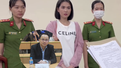 Legal situation of model Ngoc Trinh's arrest