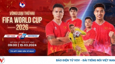 ភ្ញាក់ផ្អើលជាមួយនឹងតម្លៃសំបុត្រទស្សនា វៀតណាម vs ឥណ្ឌូនេស៊ី