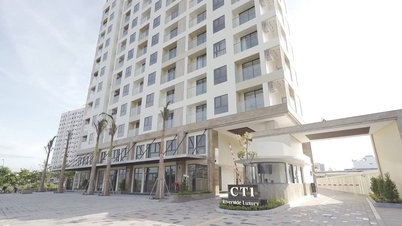 Khám phá “tọa độ sinh lời hấp dẫn” tại thành phố biển Nha Trang