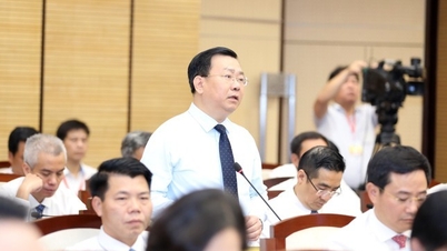 Hà Nội chậm tổ chức đấu giá quyền thuê tài sản công