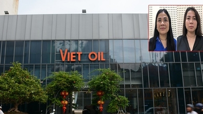 Đại gia xăng dầu trong vụ bắt ông Lê Đức Thọ cầm cố 33 triệu lít dầu ở ngân hàng