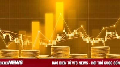Đầu tư vàng online, người đàn ông ở Hà Nội bị chiếm đoạt hơn 4 tỷ đồng