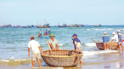 Binh Thuan ចម្លងគំរូនៃការគ្រប់គ្រងការពារធនធានជលផលតាមឆ្នេរសមុទ្រ
