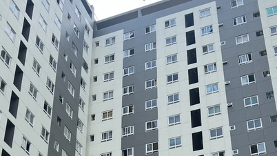 سكان توباز هوم 2