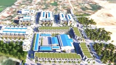 Quảng Ngãi chấp thuận nhà đầu tư dự án chợ kết hợp khu dân cư có tổng vốn gần 163 tỷ đồng