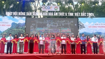 ពិធីបើកមហោស្រពផលិតផលកសិកម្ម និងវប្បធម៌ធ្វើម្ហូប OCOP នៃខេត្តភាគខាងជើងចំនួន 6 ឆ្នាំ 2024