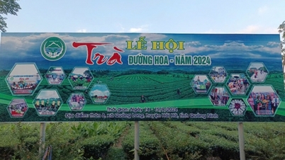 Quảng Ninh lùi thời gian tổ chức lễ hội Trà Đường Hoa