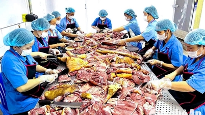 Los productos OCOP de Nghe An 'captan la ola' del mercado del Tet