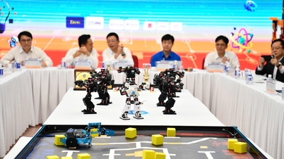 Lancement du Championnat national STEM, IA et robotique 2024 pour les étudiants