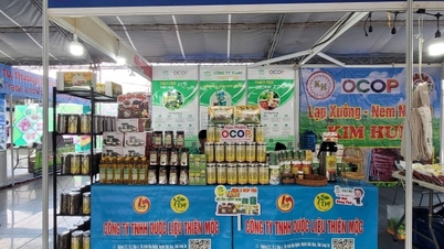 នាយកដ្ឋានឧស្សាហ៍កម្ម និងពាណិជ្ជកម្ម Long An គាំទ្រដល់ធុរកិច្ចចូលរួមក្នុងពិព័រណ៍ផ្សព្វផ្សាយពាណិជ្ជកម្មជាច្រើន។