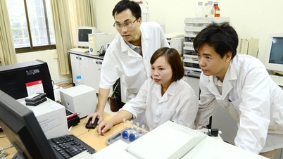 ‘Điểm nghẽn’ lớn của tự chủ đại học là nguồn lực tài chính