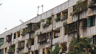 The government will renovate and rebuild old apartments.