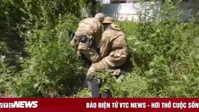 Cận cảnh đặc vụ Nga bắt nghi phạm âm mưu đánh bom nhằm vào thống đốc Crimea
