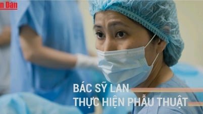 Những người phụ nữ đưa Việt Nam ra thế giới: PGS. TS Vương Thị Ngọc Lan - Người góp phần khẳng định kỹ thuật thụ tinh trong ống nghiệm của Việt Nam với thế giới