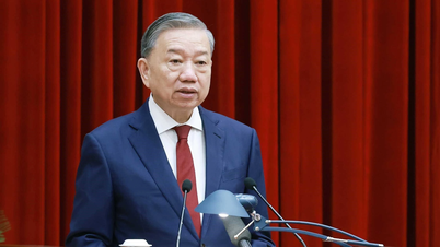 Opening of the 13th Party Central Committee Conference
