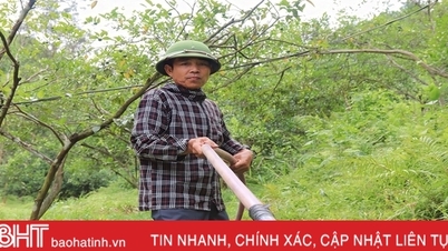 កសិករ Vu Quang ជីក​ស្រះ​ស្តុក​ទឹក​ការពារ​គ្រោះ​រាំង​ស្ងួត​សម្រាប់​ក្រូច