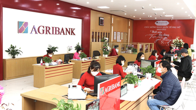 Những rắc rối của khoản nợ 200 tỷ đồng Agribank rao bán nhiều lần