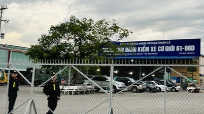 11 defendants prosecuted for receiving bribes at the 61-08D Inspection Center