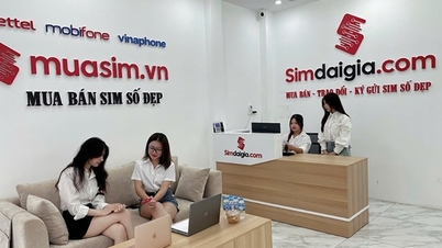 Chuyển nhượng tên miền Internet, sim – số điện thoại có thể phải chịu thuế