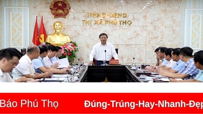 អនុប្រធានគណៈកម្មាធិការប្រជាជនខេត្ត Phan Trong Tan បានធ្វើការជាមួយគណៈកម្មាធិការប្រជាជនទីក្រុង Phu Tho។