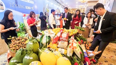 An Giang នាំយកត្រីត្រា ស្ករត្នោត... មកទីក្រុងហូជីមិញ ដើម្បីផ្សព្វផ្សាយ និង 'រមៀលចេញកន្ទេល' ដើម្បីអំពាវនាវឱ្យមានការវិនិយោគ