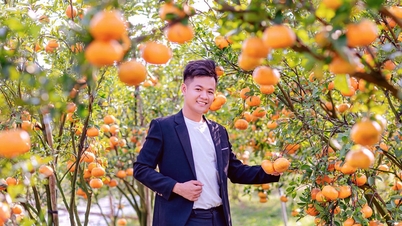 កសិករ​លោកខាងលិច​ប្រែក្លាយ​សួនច្បារ​ទៅជា​កន្លែង​ត្រួតពិនិត្យ​ Tet