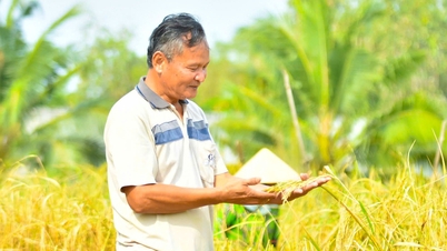 បុរស​ដែល​ស្ដារ​ស្រូវ​រដូវ​ចំនួន​៤០​ពូជ​ត្រូវ​បាន​គេ​ទទួល​ស្គាល់​ថា​ជា​អ្នក​វិទ្យាសាស្ត្រ​កសិករ
