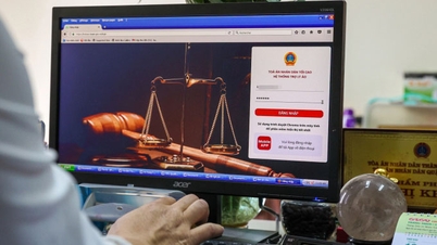 Virtual Assistant for the Court Industry: A Tool to Improve Efficiency and Quality of the Court Industry
