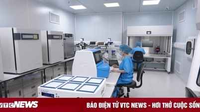 IVF Việt Nam: Tỷ lệ thành công cao nhưng chi phí thấp nhất thế giới