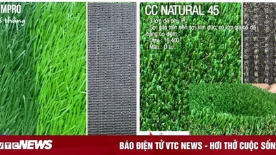 Comparison of sand-free, seed-free artificial grass and regular artificial grass