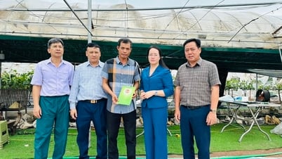 សមាគមកសិករហាណូយជួយកសិករជំនះផលវិបាកដោយព្យុះលេខ៣
