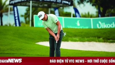 Gần 300 VĐV tham dự chuỗi giải golf nghiệp dư Việt Nam mở rộng 2023